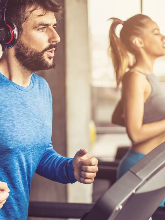 Apartments for Rent in San Jose CA