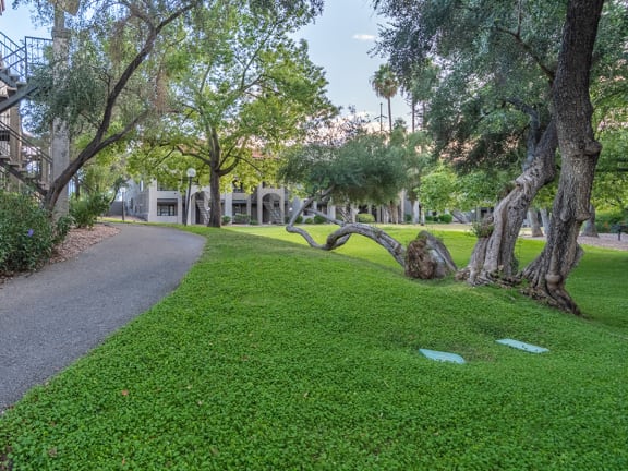 Canyon oaks outside view with nice, lush landscape