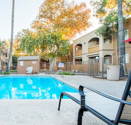 Tanglewood pool view with relaxation area and tall trees surrounding