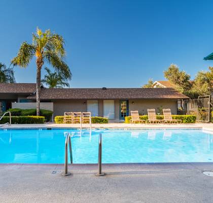 A swimming pool in front of a house with a palm tree.