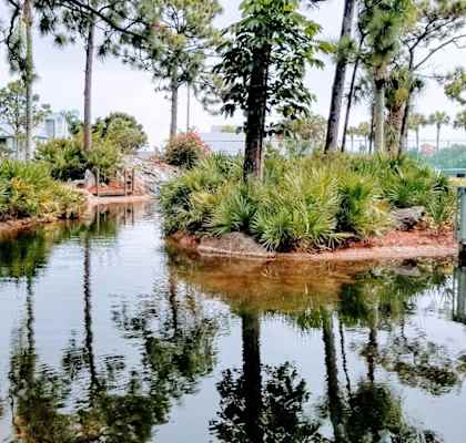 Beautiful Lake View at Lake in the Woods in Melbourne, FL