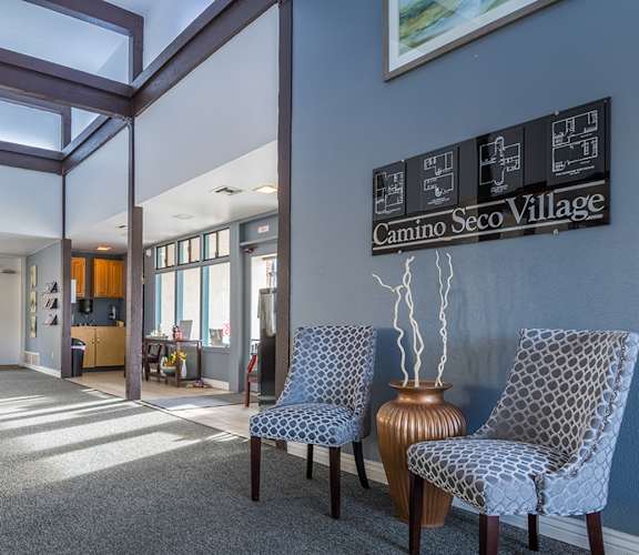 Camino seco Village view of clubhouse with a modern looking lounge area