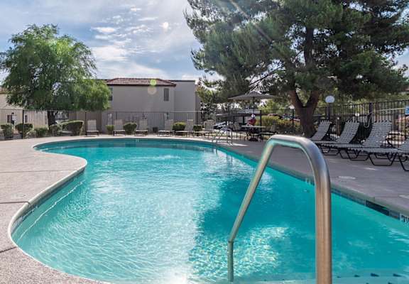 Cantera View of pool with a nice big, green tree overhead