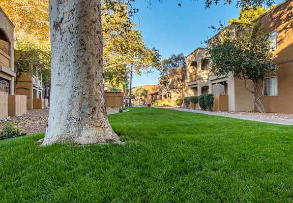Tanglewood outside view with nice lush landscape throughout