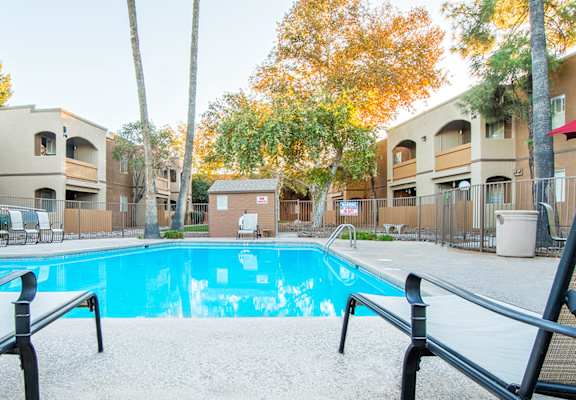Tanglewood pool view with relaxation area and tall trees surrounding