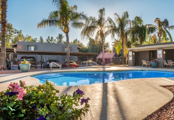 Estancia pool view with nice trees and lounging space for all