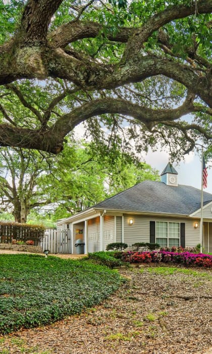 a small house with trees and a sidewalk  at Parklane Apartment Homes, McComb, Mississippi, 39648