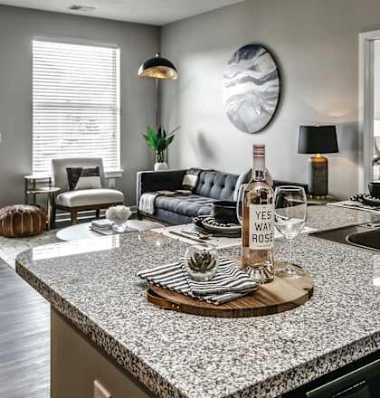 Kitchen and Living room at The Landings Apartments, Bellevue 68123