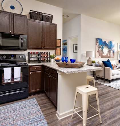 The Legacy at Walton Summit Model Apartment, Gainesville, GA