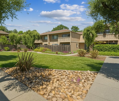 A well-maintained garden with a stone pathway and a small tree in the foreground.