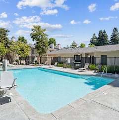 A large swimming pool surrounded by lounge chairs at Camino Creek, ROHNERT PARK, 94928