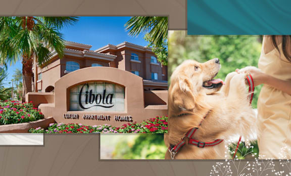 exterior of cibola and golden retriever