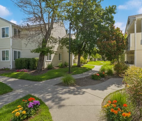 Courtyard Walking Path at Emerald Pointe, California