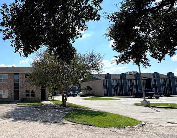 A tree is in front of a building with a parking lot in front of it.