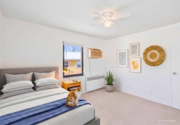 A cat is sitting on a bed in a bedroom with a ceiling fan.