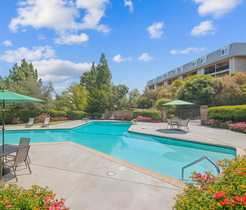 A pool surrounded by a table and chairs with a green umbrella.
