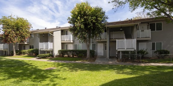 APARTMENT AMENITIES