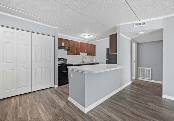 Renovated Kitchen with appliances at Woodland Ridge, Illinois