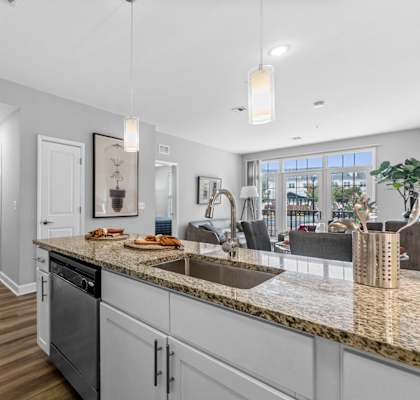 Kitchen Sink at Harbor Pointe, Bayonne