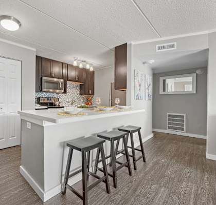 Renovated Kitchen with white interior at Woodland Ridge, Illinois