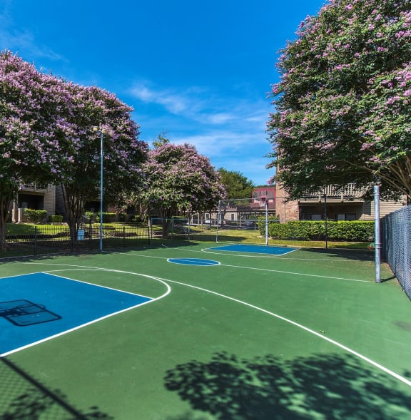 a basketball court in a park with trees