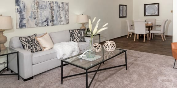 APARTMENT AMENITIES