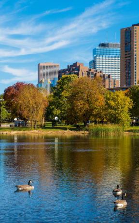 a cityscape with a lake and ducks in the foreground at The Park Apartments in Minneapolis, MN