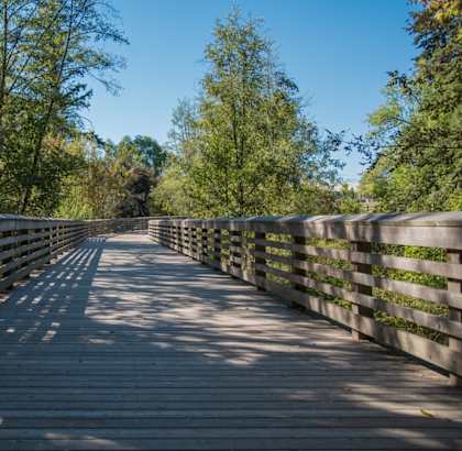 Briar Creek Photos
