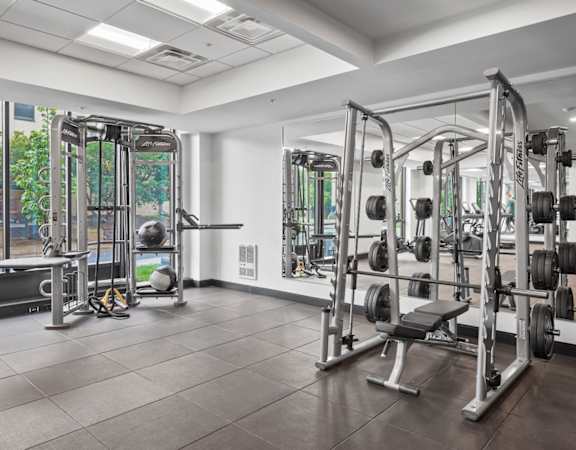 the gym is equipped with weights and cardio equipment