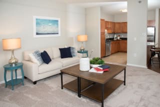 Contemporary Living Room at Waterstone Place, Minnetonka