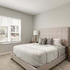 Bedroom with Abundant Natural Light