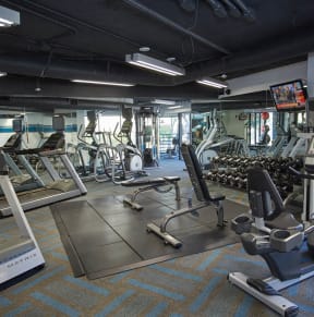 a gym with cardio machines and weights