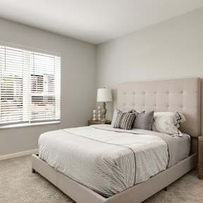 Bedroom with Abundant Natural Light