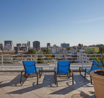 a patio with blue chairs and a potted plant with the san francisco skyline in the