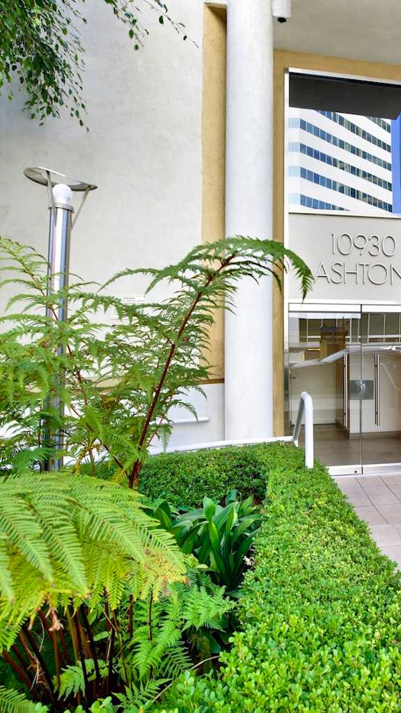 Apartment courtyard with a winding walking path, lush plants and a water feature. at Ashton Towers, California, 90024