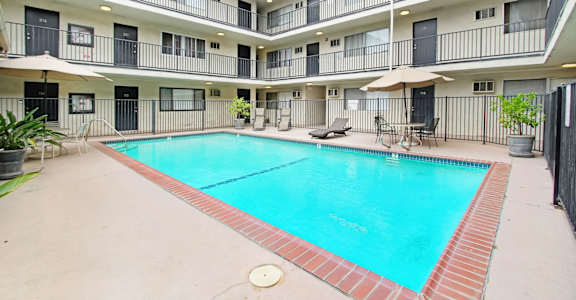 the swimming pool at our hotel