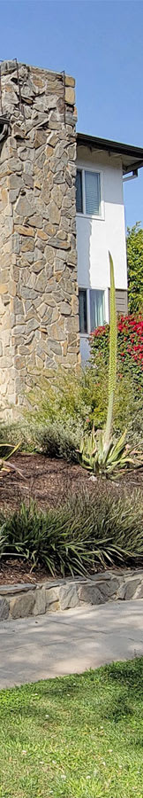 A stone wall with a white building in the background.