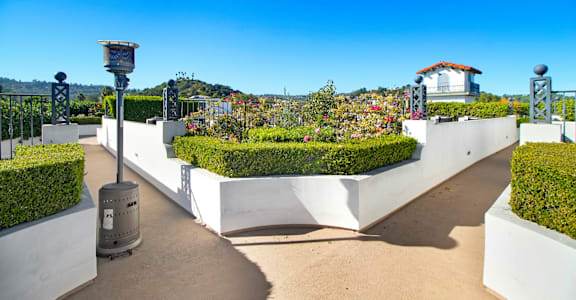 a view of a garden with hedges and a white fence and a blue sky