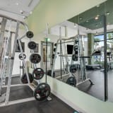 a gym with weights and mirrors in aria resort and spa