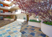 Thumbnail 6 of 10 - Courtyard