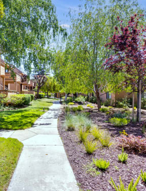our apartments offer a beautiful yard for residents to enjoy