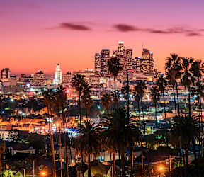 a view of the city at sunset with palm trees