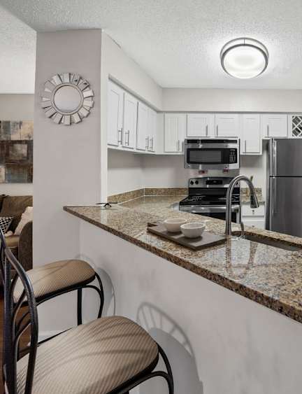 a living room with couches and a tv and a fireplace at University Ridge Apartments, Durham, North Carolina, 27707