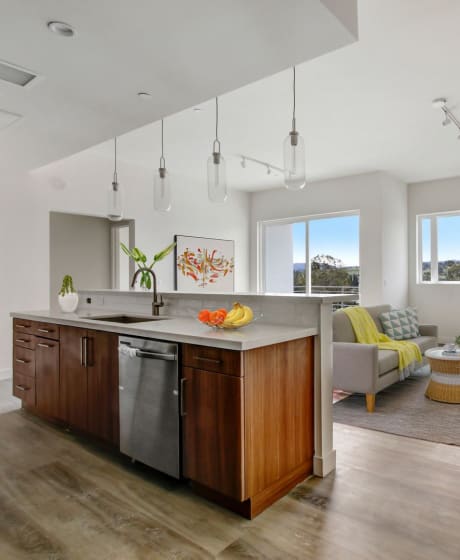 a kitchen and living room in a 555 waverly unit