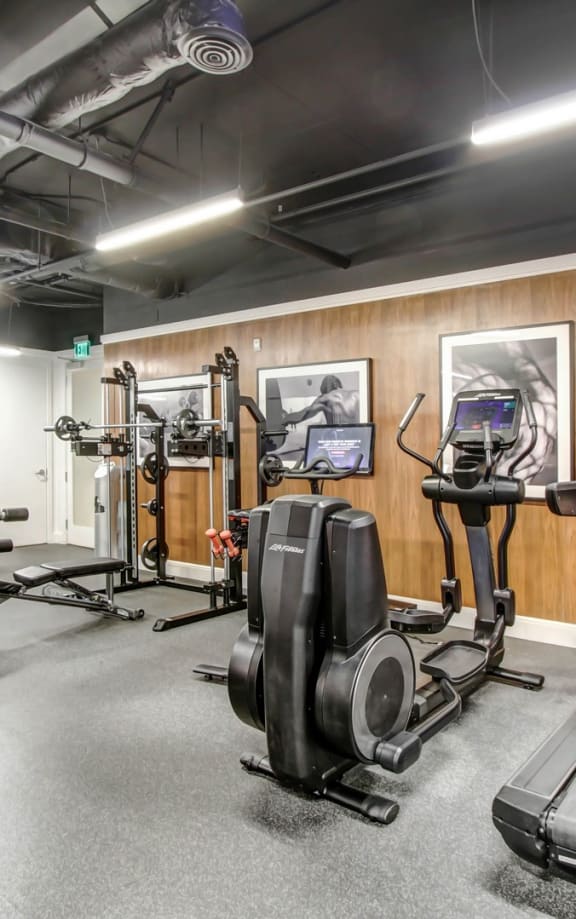 the gym is equipped with cardio equipment and weights