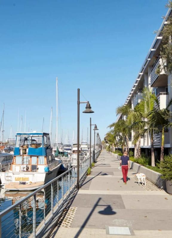 a woman walking her dog down a sidewalk near a harbor with boats