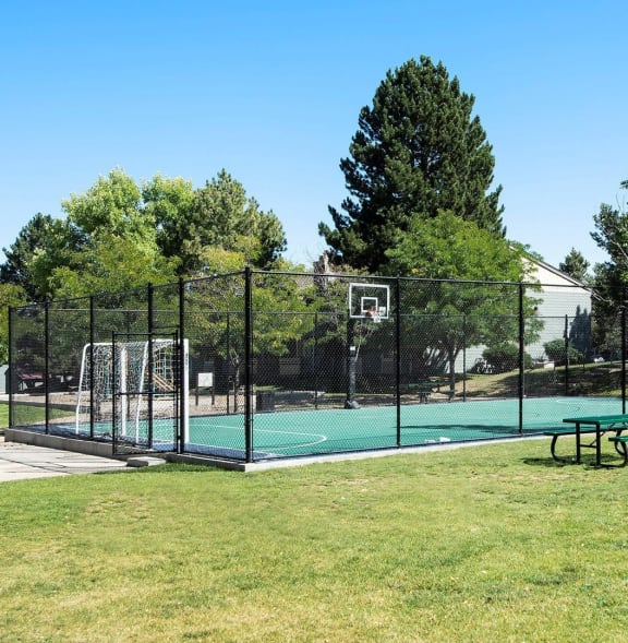 a basketball court in the middle of a park