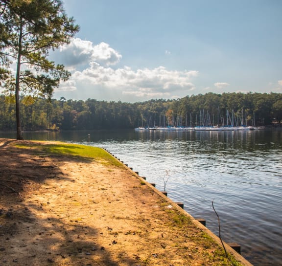 a lake with a dock and trees on the other side of the lake