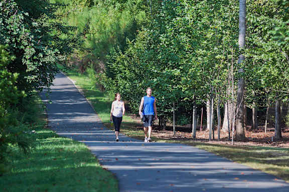 Two people jogging on a tree-lined path.