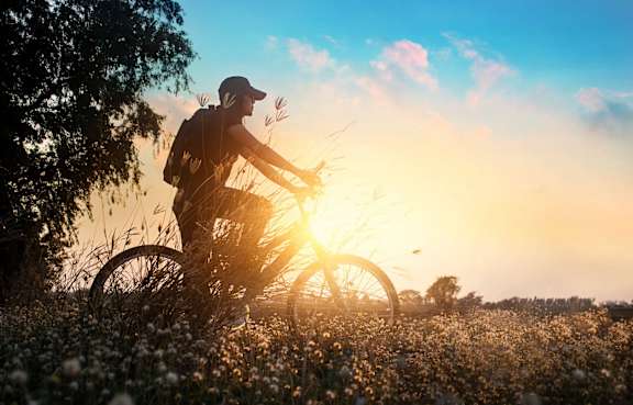 A person riding a bicycle in a field of flowers at sunset.